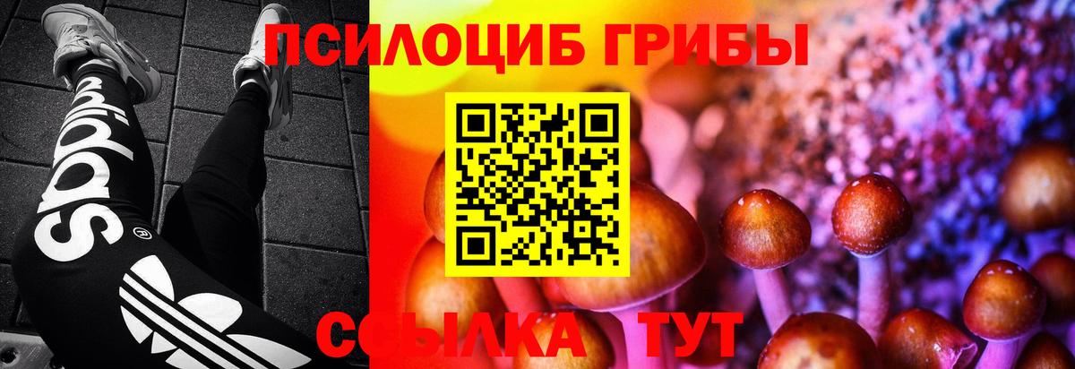 Галлюциногенные грибы мухоморы Новоалтайск